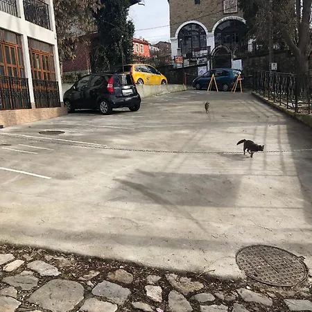 Family Varusha Veliko Tarnovo