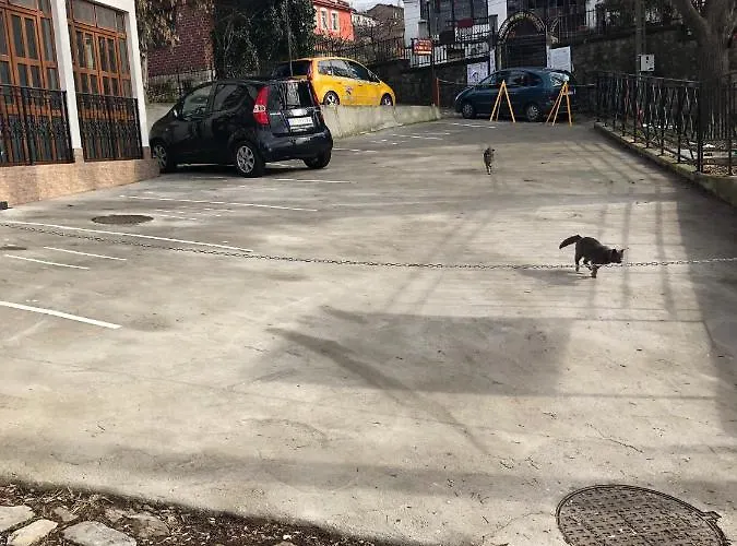 Family Varusha Veliko Tarnovo